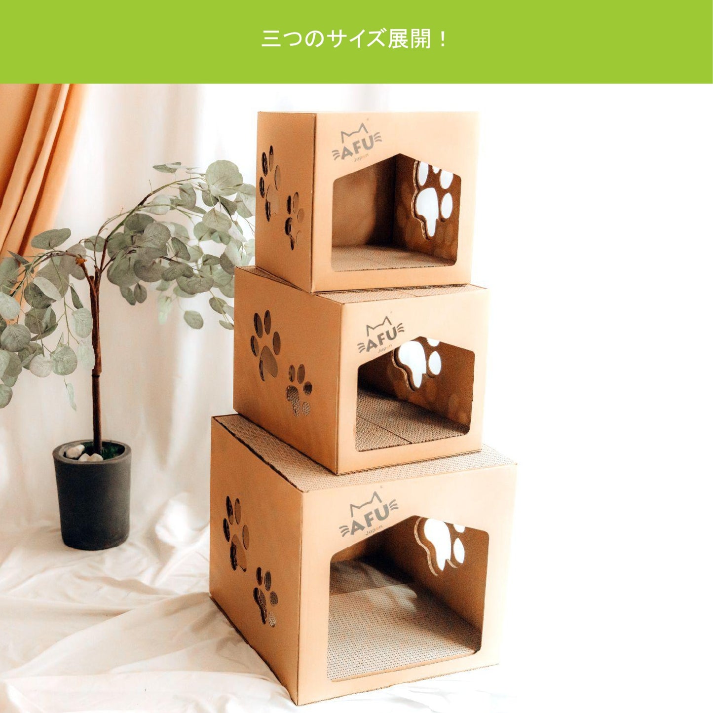 AFU JAPAN 子猫ハウス