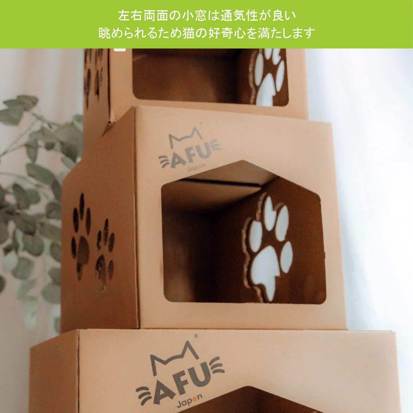 AFU JAPAN ビッグキャットハウス