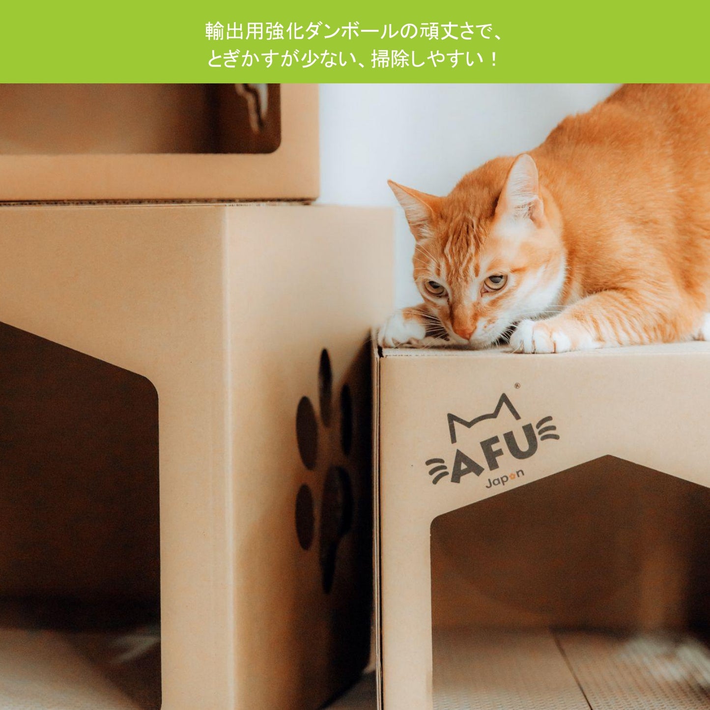 AFU JAPAN ビッグキャットハウス