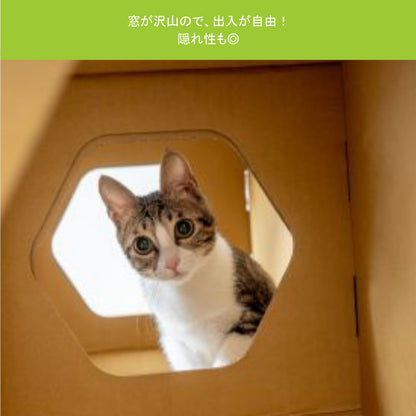 AFU JAPAN ハニカムハウス（3 個入り）