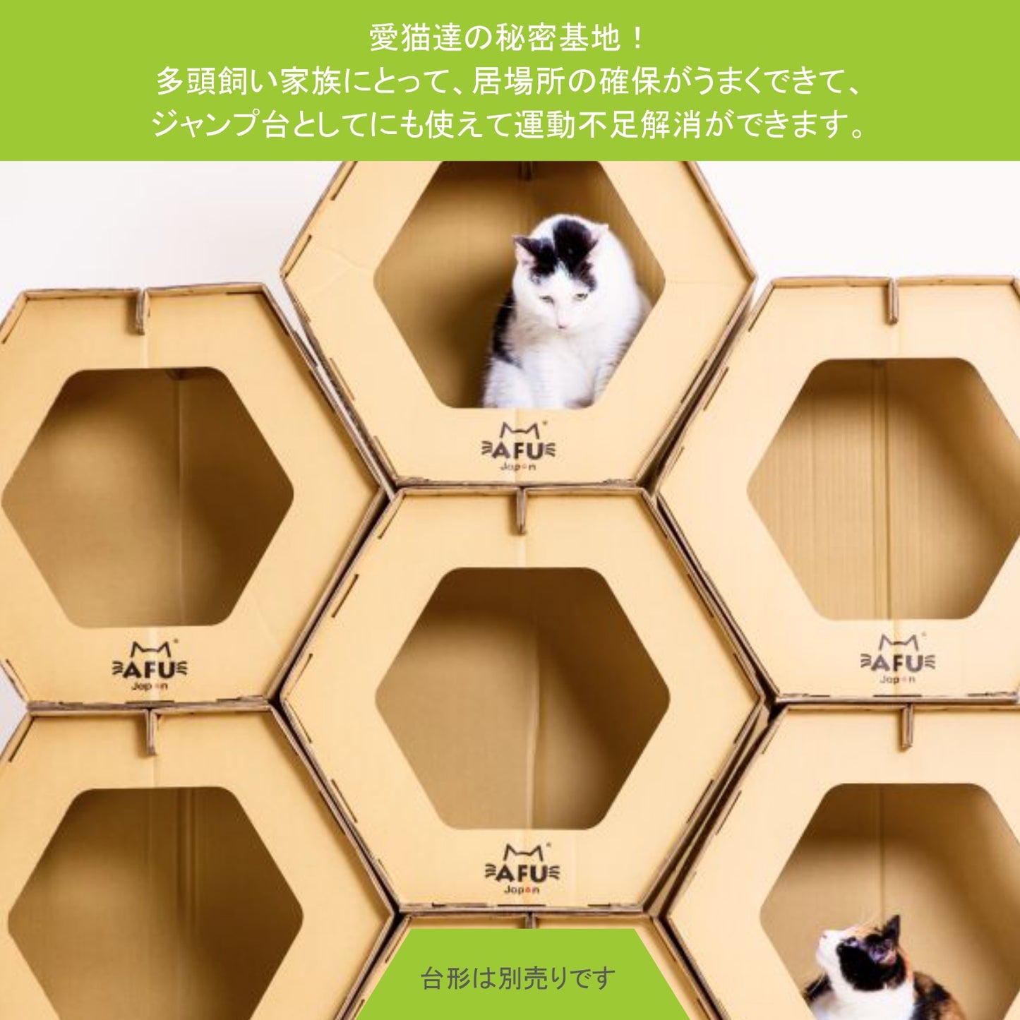 AFU JAPAN ハニカムハウス（6 個入り）