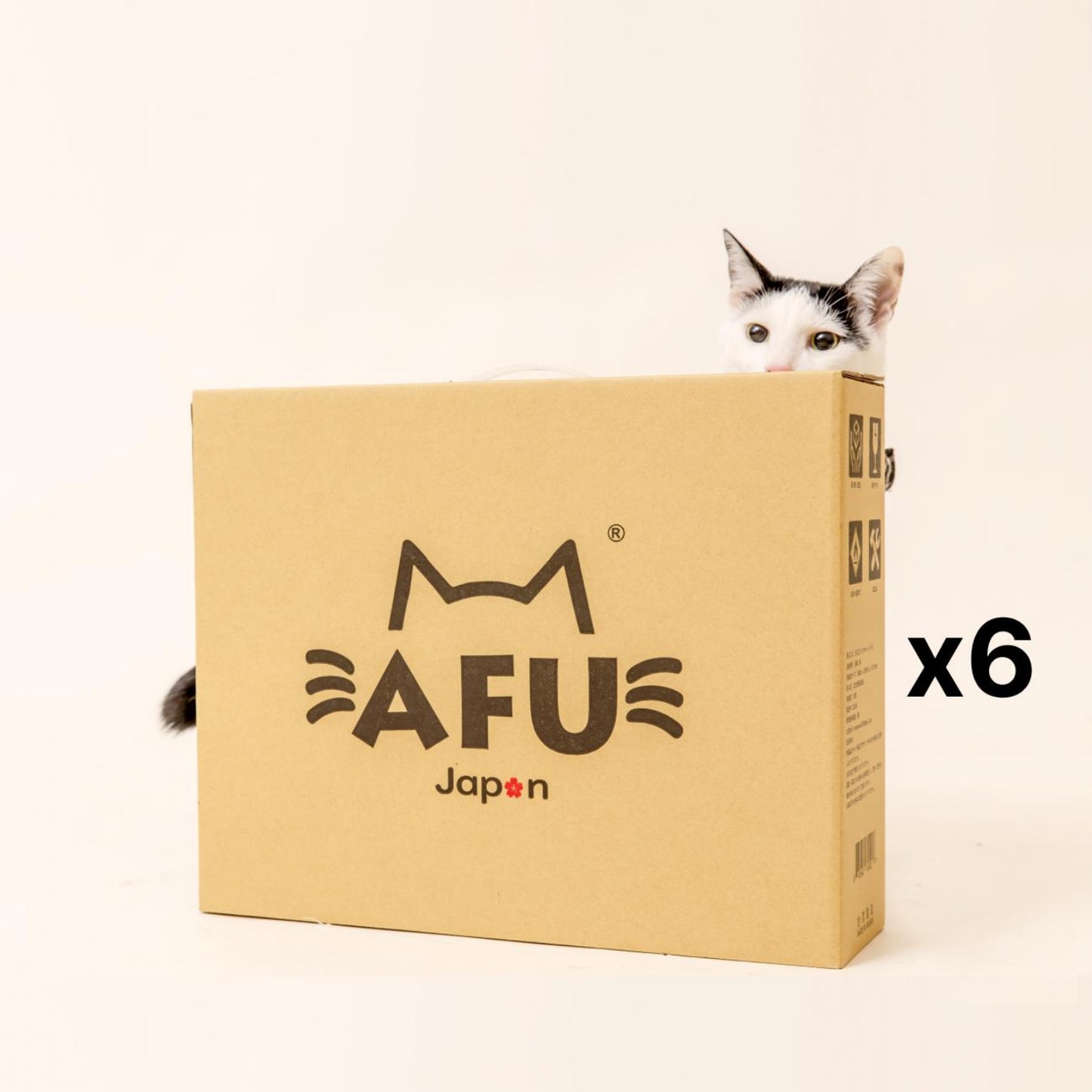 AFU JAPAN ハニカムハウス（6 個入り）