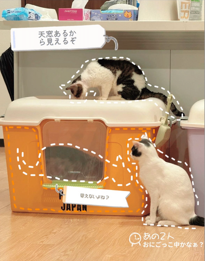 パン猫トイレ