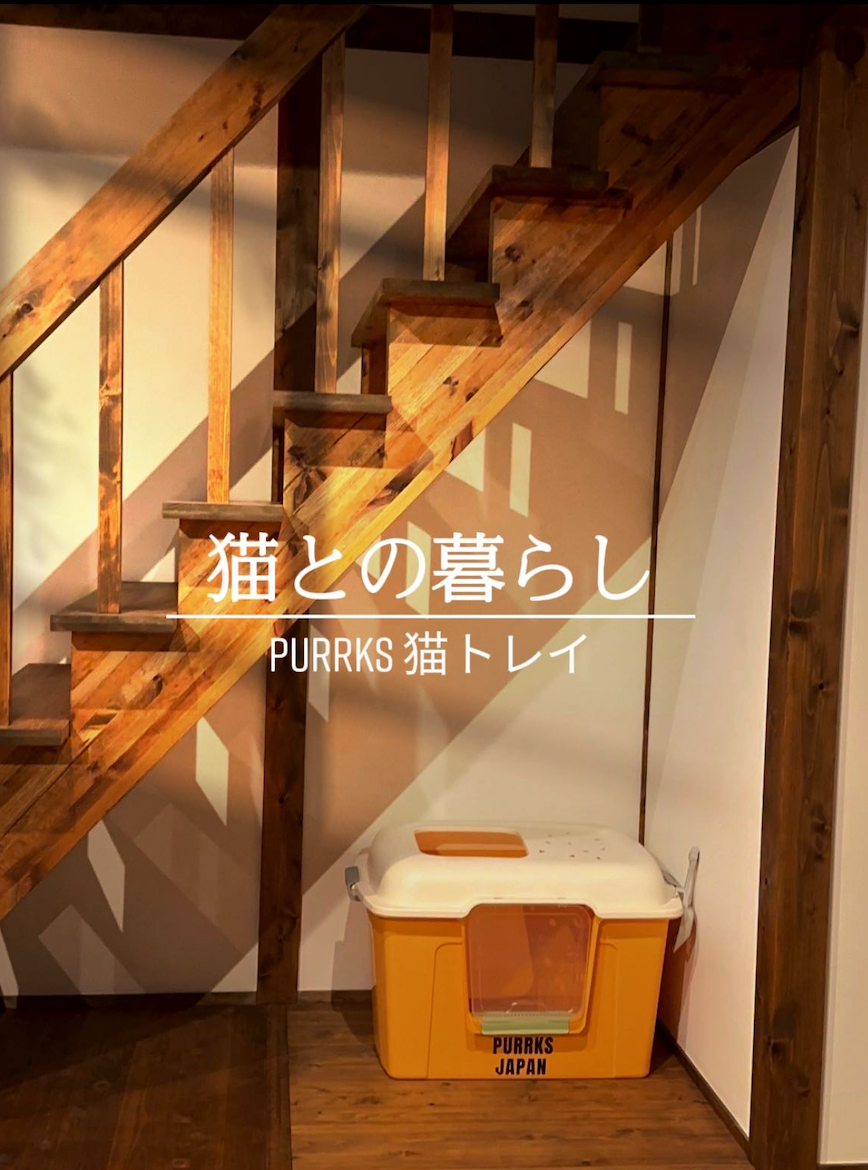 パン猫トイレ