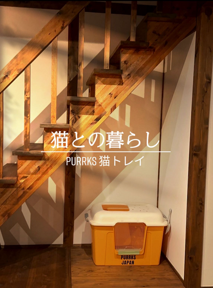 パン猫トイレ