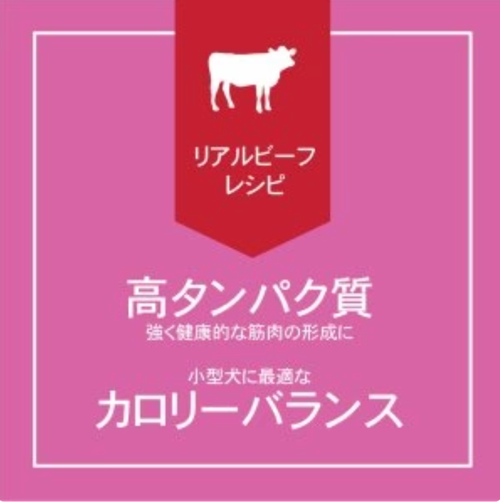 グレインフリー 犬用ウェットフード リアルビーフ 85g