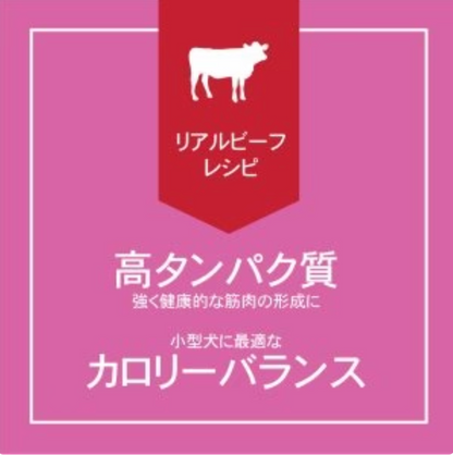 グレインフリー 犬用ウェットフード リアルビーフ 85g