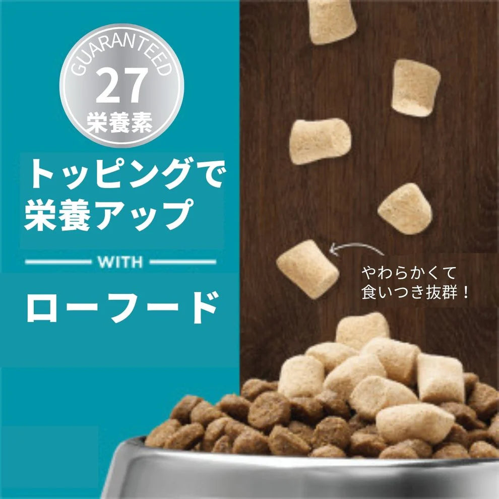 成犬用 マルチビタミン フリーズドライローフード ビーフ 21g