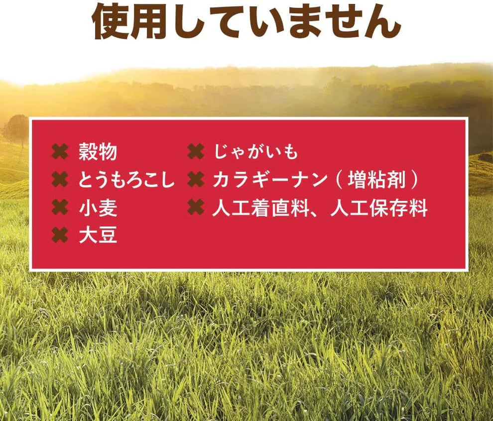 グレインフリー 犬用ウェットフード リアルビーフ 85g