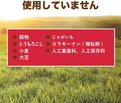 グレインフリー 犬用ウェットフード リアルビーフ 85g