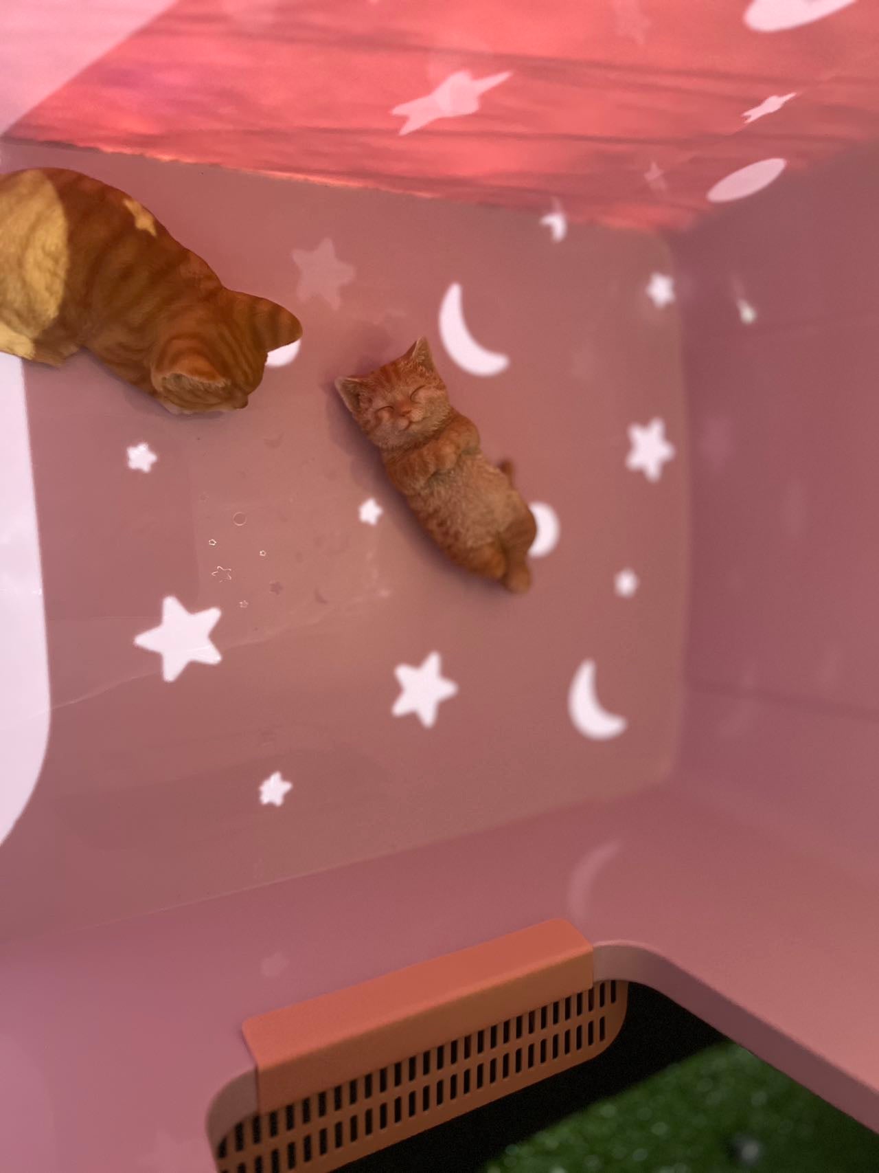 パン猫トイレ