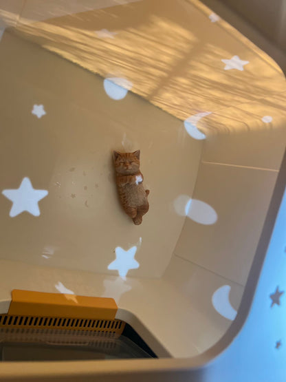 パン猫トイレ